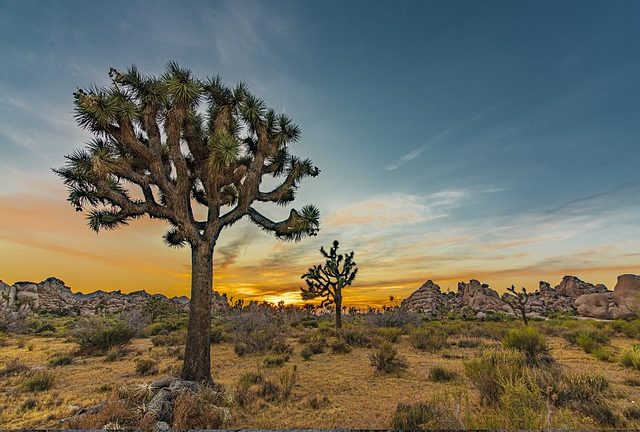 A Photographer’s Guide to the Desert Landscapes